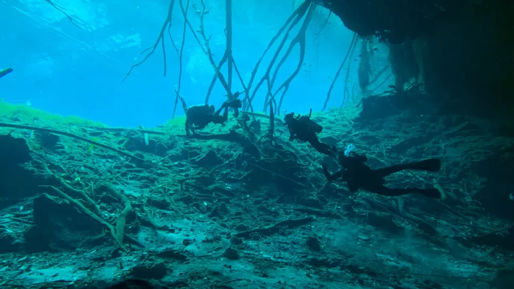 Mergulho nos Cenotes da Península de Yucatán