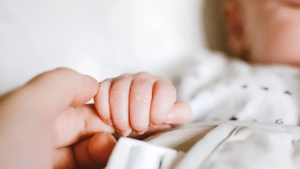 Viajar com Bebê Reborn