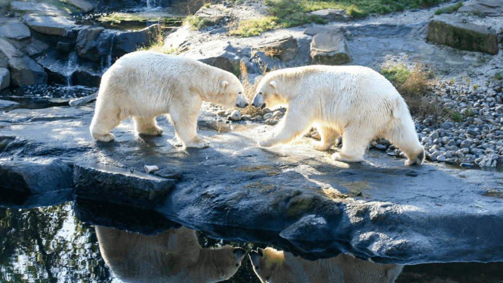 Svalbard
