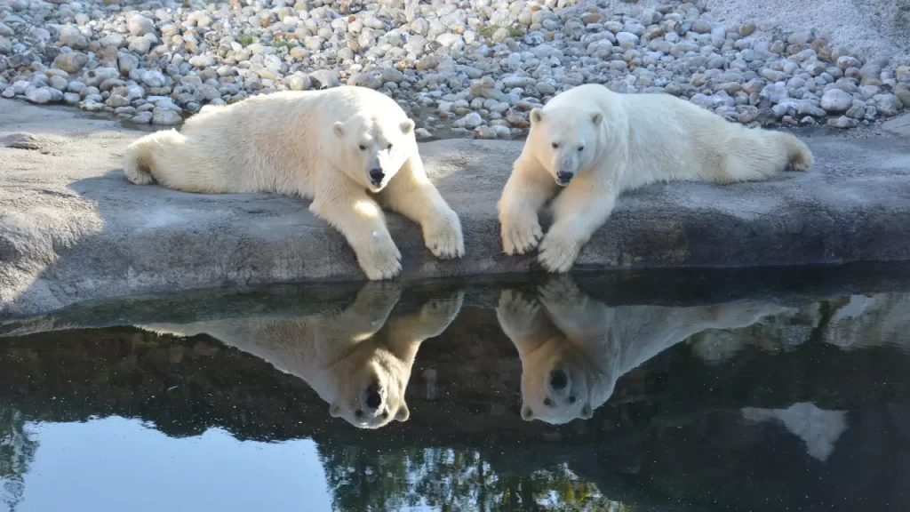 Svalbard