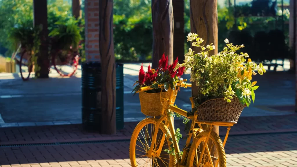 Holambra a cidade das flores